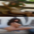 Girls Springhill naked