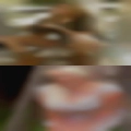 Girls Hemet fucking