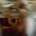 Free swingers club and chat